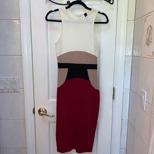 Burgundy and white Bodycon dress.